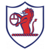 https://img.qdfxysj.com/img/football/team/11fb72f7b5eacfc881ee11bac75871fa.png