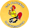 https://img.qdfxysj.com/img/football/team/63b0933cc303927659846a4ed54b1522.png