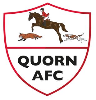 https://img.qdfxysj.com/img/football/team/836a31071e7d9d110980b8432e224398.png